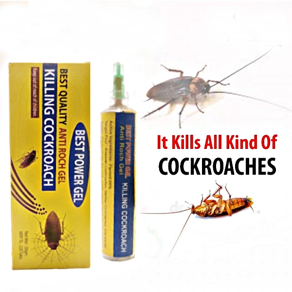 481773059_655968403603452_2258856323351338763_n